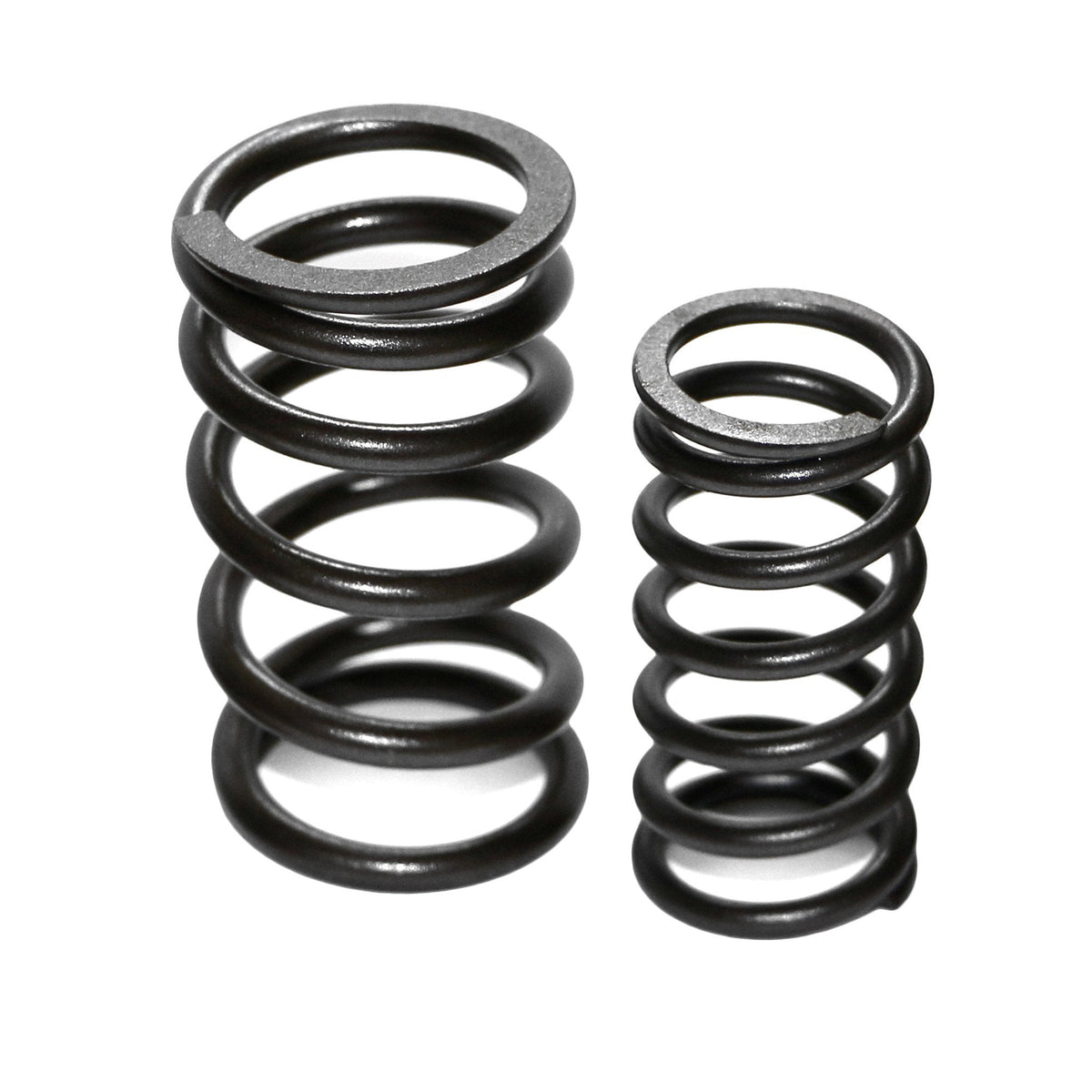 Dual High-Rev Valve Springs for VW Type 1, 2, and 3 (Set of 8) - AA Performance Products