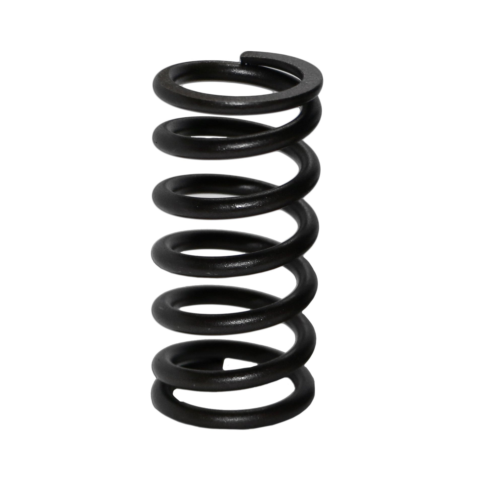 Inner High-Rev Valve Springs for VW Type 1, 2, and 3 (Set of 8) - AA Performance Products