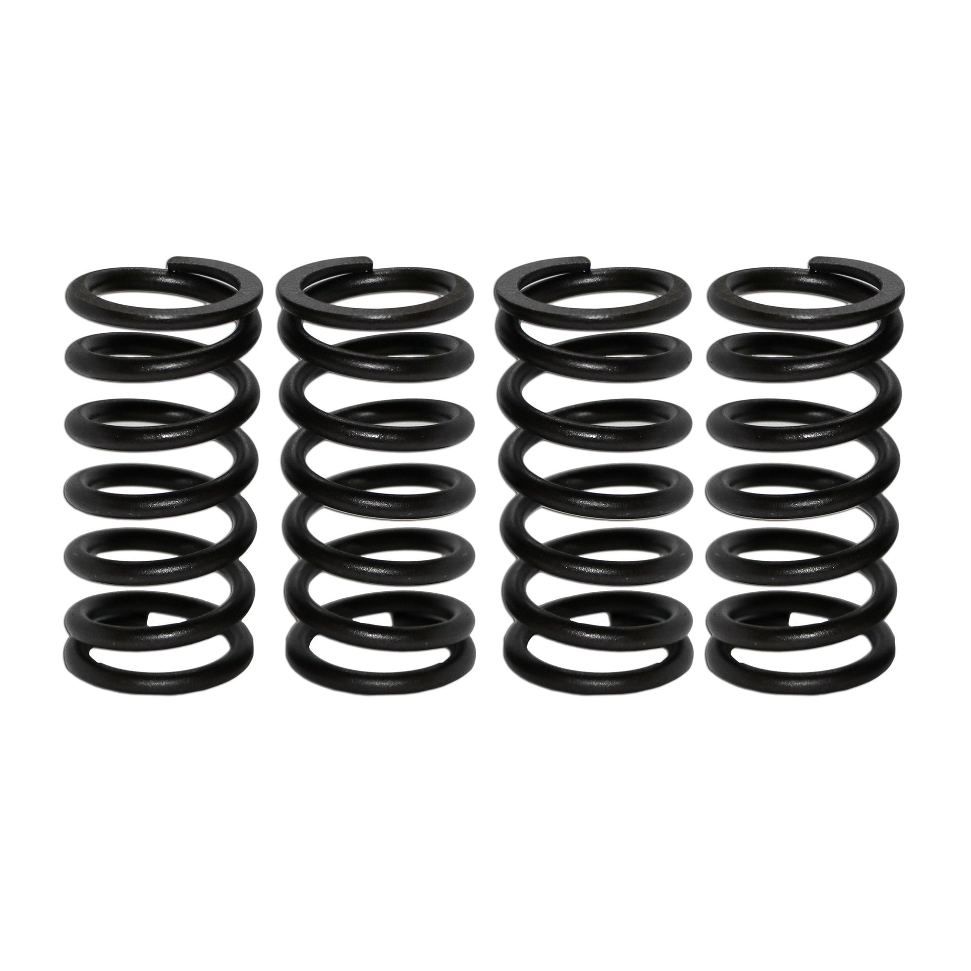 Inner High-Rev Valve Springs for VW Type 1, 2, and 3 (Set of 8) - AA Performance Products