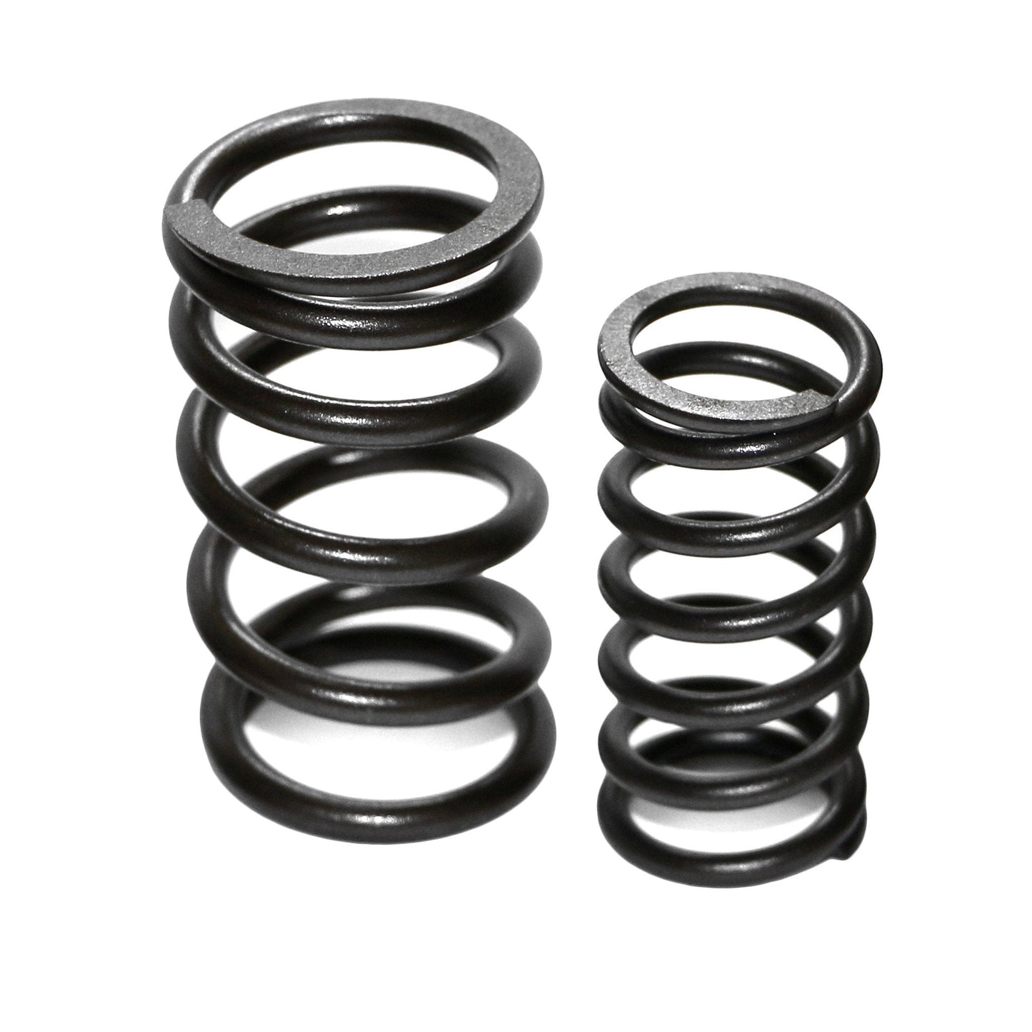 Dual High-Rev Valve Springs for VW Type 1, 2, and 3 (Set of 8) - AA Performance Products